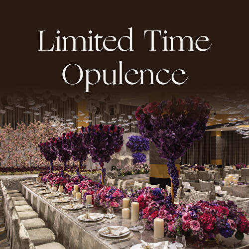 Limited Time Opulence
